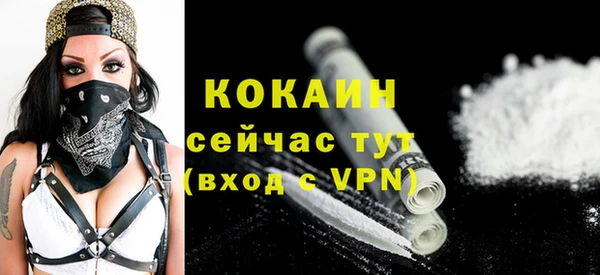 спиды Горняк