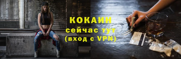 спиды Горняк