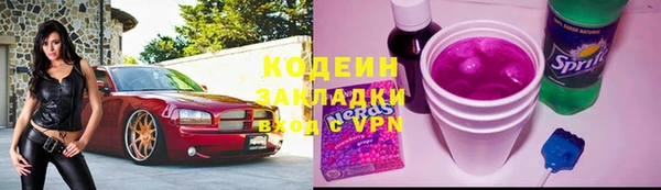 мдпв Горно-Алтайск