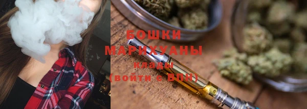 спиды Горняк