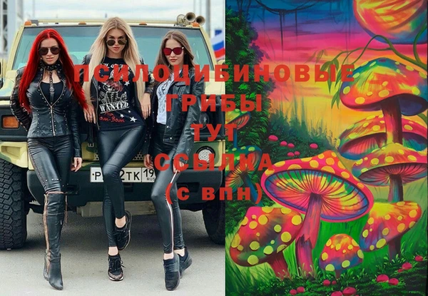 первитин Горнозаводск