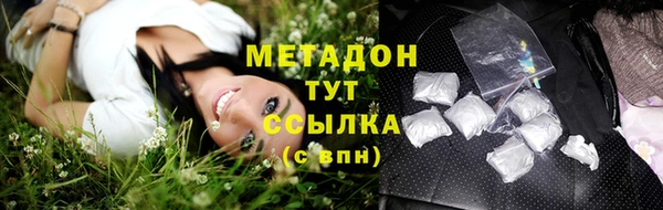спиды Горняк